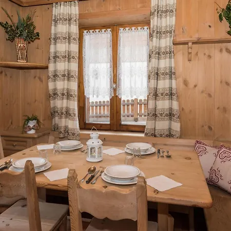 Cusini Saroch 리비뇨